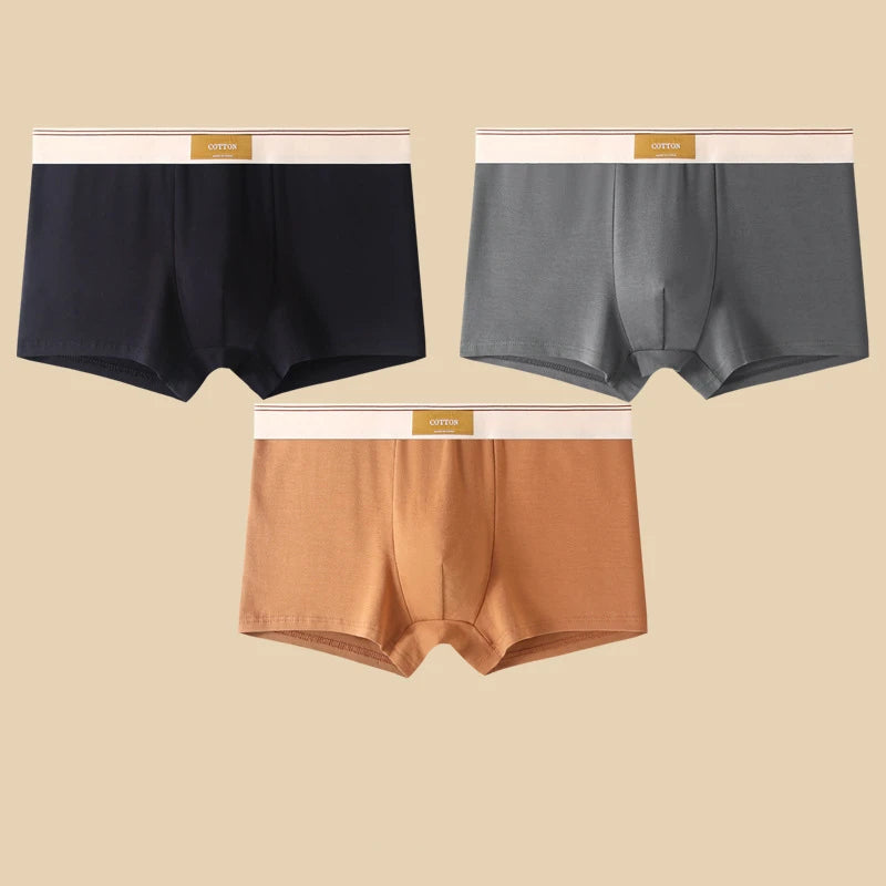 3 Pezzi Boxer Uomo Mutande Elasticizzato Slip Intimo vari colori Pantaloncino