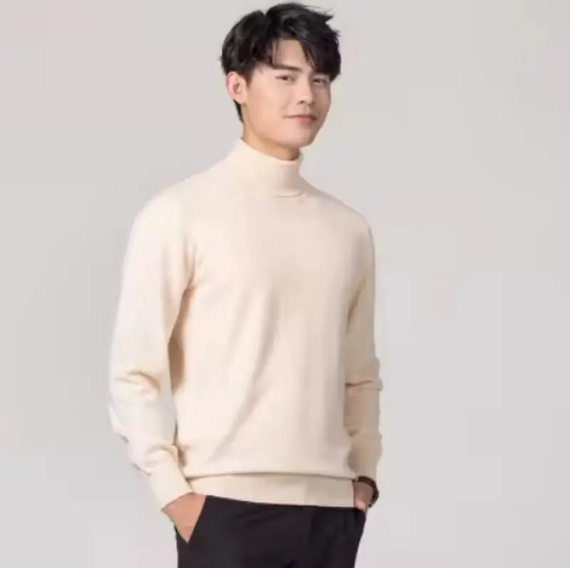 Herren Rollkragen Pullover Sweatshirt Leichter Pulli Sweater Shirt Langarmshirt