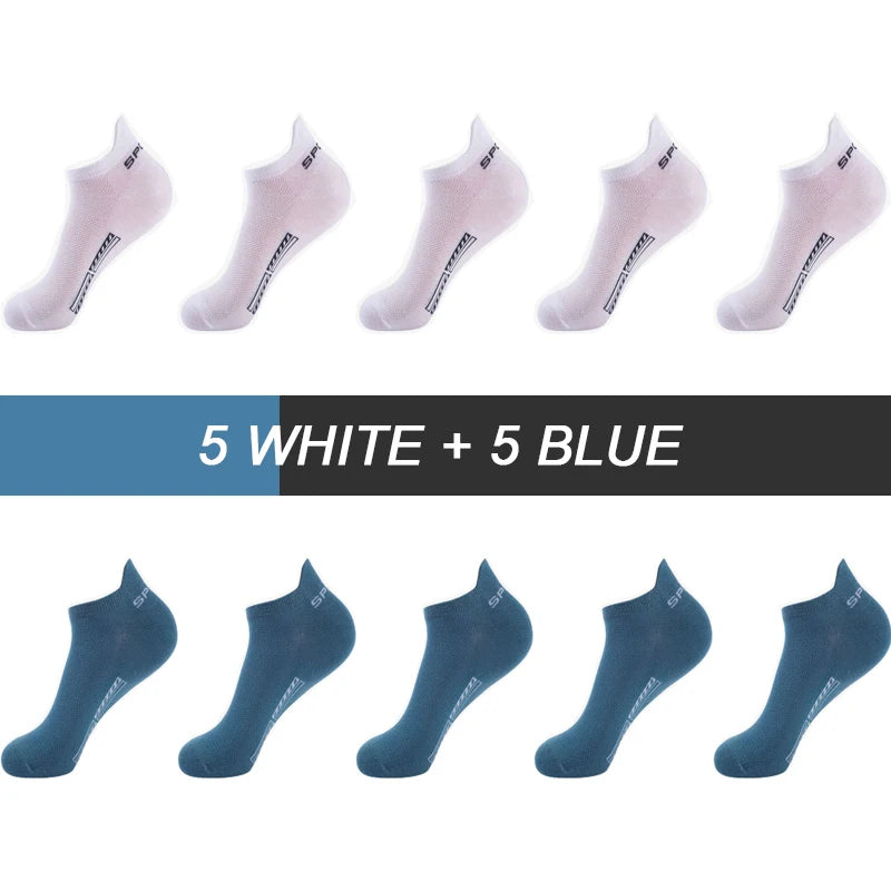 53818192101644|53818192396556