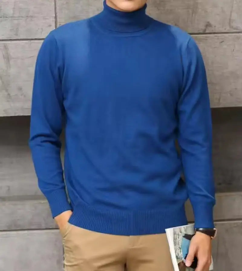 Herren Rollkragen Pullover Sweatshirt Leichter Pulli Sweater Shirt Langarmshirt