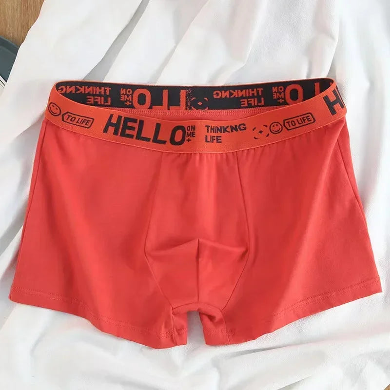 5-10er Pack Herren Boxershorts Unterhosen Basic Unterwäsche Boxer Shorts
