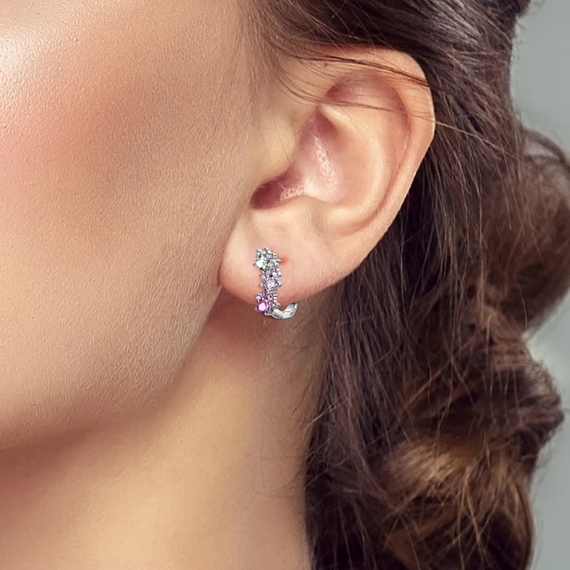 Orecchini a Cerchio in Argento 925 Sterling con Zirconi | Creole Brillanti