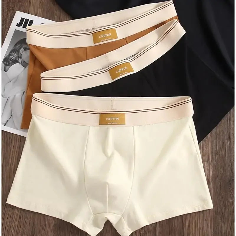 3 Pezzi Boxer Uomo Mutande Elasticizzato Slip Intimo vari colori Pantaloncino