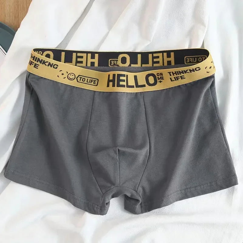 5-10er Pack Herren Boxershorts Unterhosen Basic Unterwäsche Boxer Shorts