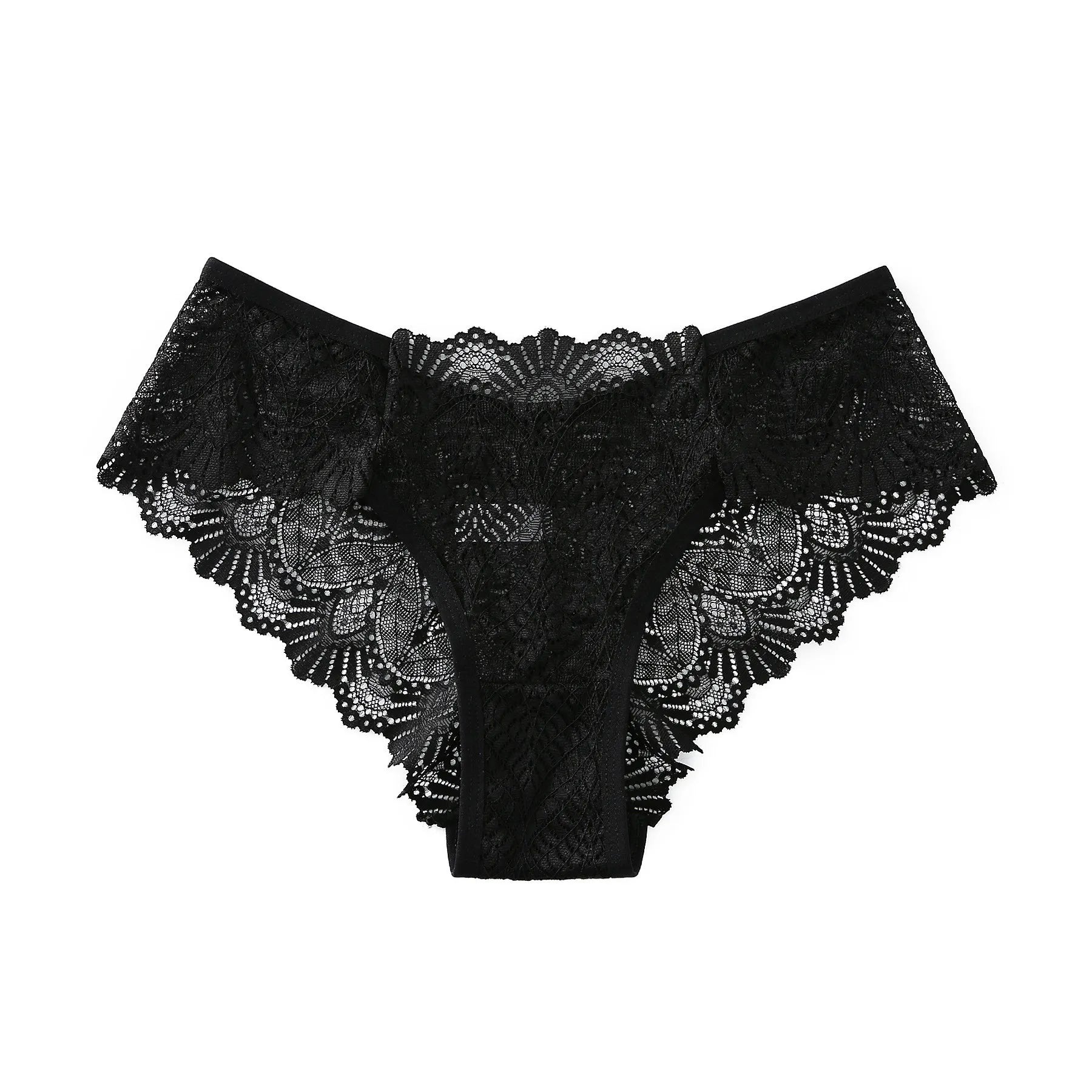 45414989201676|45414989857036|45414989889804|45414989922572