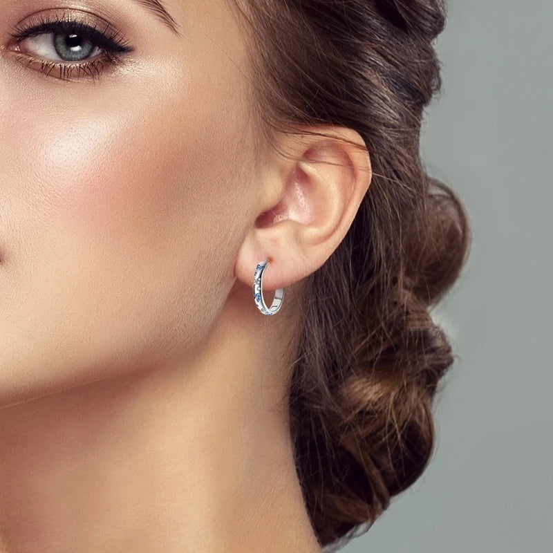 Orecchini a Cerchio in Argento 925 Sterling con Zirconi | Creole Brillantini