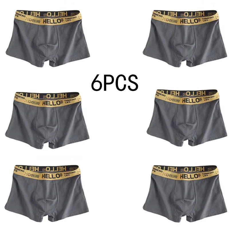 6 Pezzi Boxer Uomo Mutande Elasticizzato Slip Intimo vari colori Pantaloncino