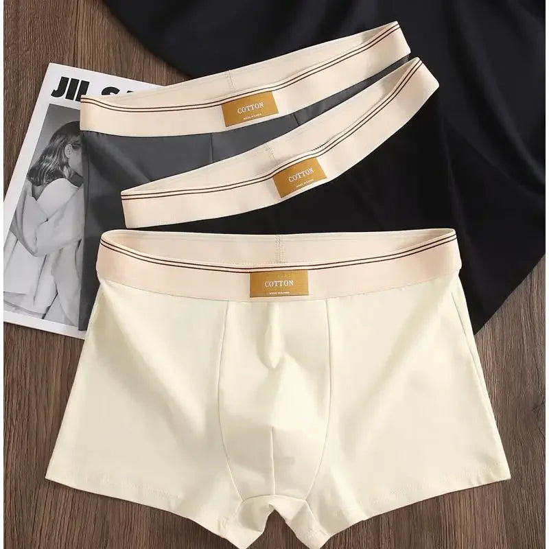 3 Pezzi Boxer Uomo Mutande Elasticizzato Slip Intimo vari colori Pantaloncino