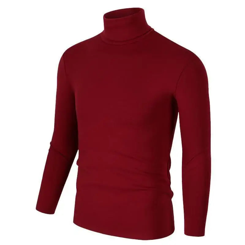 Herren Rollkragen Pullover Sweatshirt Leichter Pulli Sweater Shirt Langarmshirt