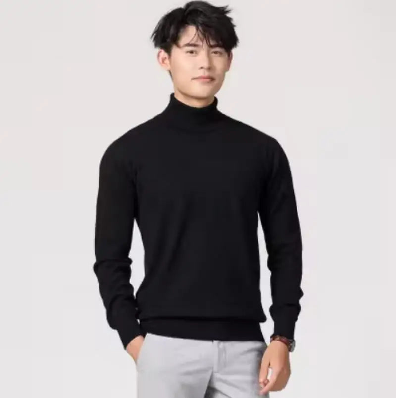 Herren Rollkragen Pullover Sweatshirt Leichter Pulli Sweater Shirt Langarmshirt