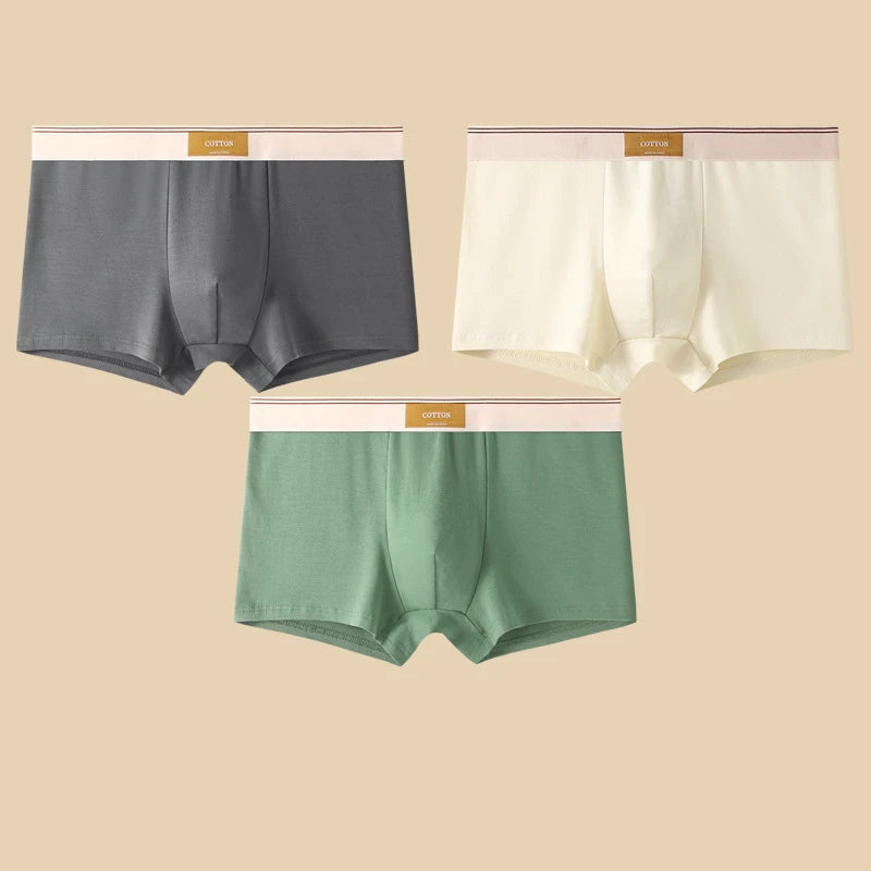 3 Pezzi Boxer Uomo Mutande Elasticizzato Slip Intimo vari colori Pantaloncino