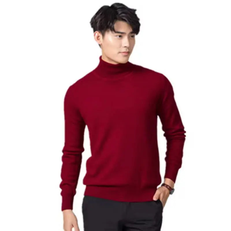 Herren Rollkragen Pullover Sweatshirt Leichter Pulli Sweater Shirt Langarmshirt