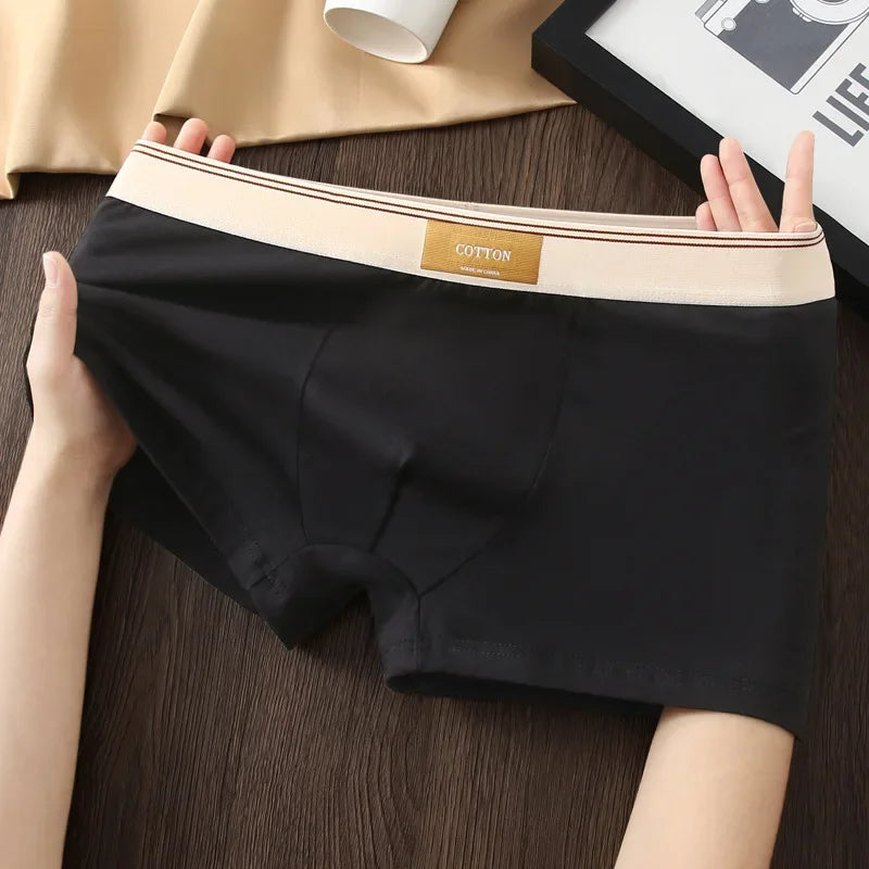 3er Pack Herren Boxershorts Unterhosen Basic Unterwäsche Boxer Shorts