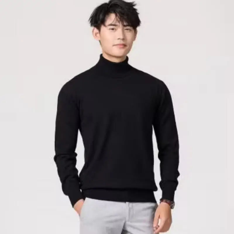 Herren Rollkragen Pullover Sweatshirt Leichter Pulli Sweater Shirt Langarmshirt