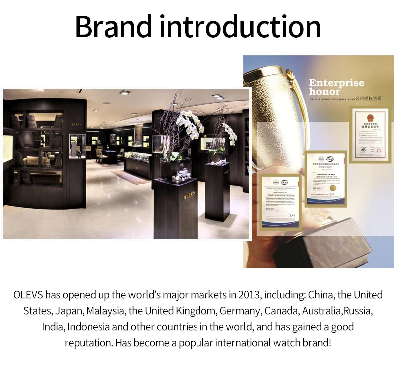 Orologio da Polso Donna Quarzo Quadrante Acciaio Inossidabile Classico Elegante