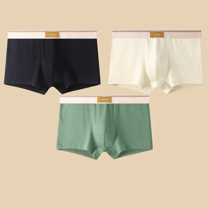 3er Pack Herren Boxershorts Unterhosen Basic Unterwäsche Boxer Shorts
