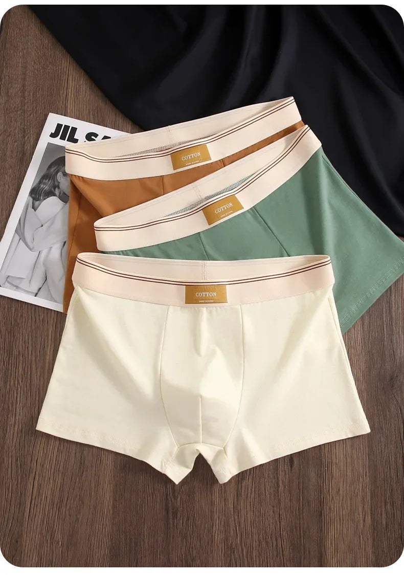 3er Pack Herren Boxershorts Unterhosen Basic Unterwäsche Boxer Shorts