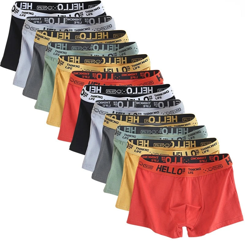 6er Pack Herren Boxershorts Unterhosen Basic Unterwäsche Boxer Shorts