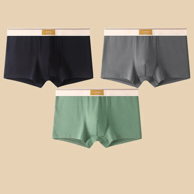 3er Pack Herren Boxershorts Unterhosen Basic Unterwäsche Boxer Shorts