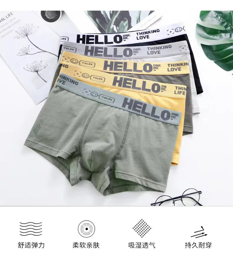6er Pack Herren Boxershorts Unterhosen Basic Unterwäsche Boxer Shorts