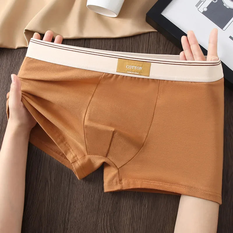 3 Pezzi Boxer Uomo Mutande Elasticizzato Slip Intimo vari colori Pantaloncino