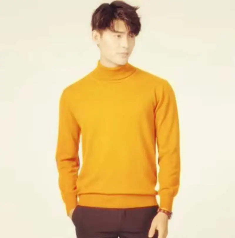 Herren Rollkragen Pullover Sweatshirt Leichter Pulli Sweater Shirt Langarmshirt