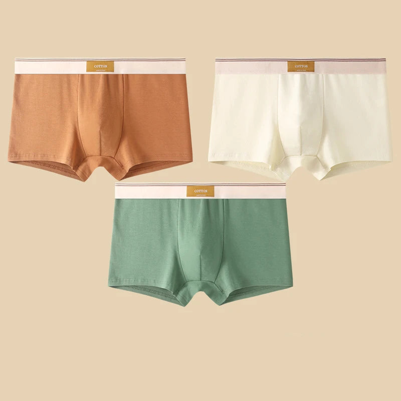3er Pack Herren Boxershorts Unterhosen Basic Unterwäsche Boxer Shorts