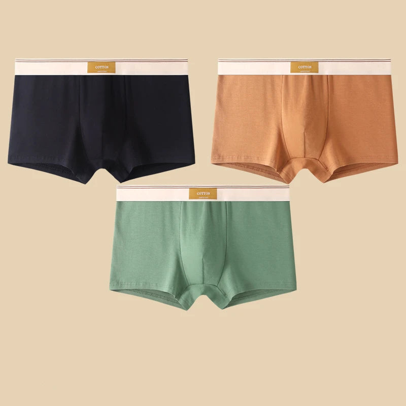 3 Pezzi Boxer Uomo Mutande Elasticizzato Slip Intimo vari colori Pantaloncino