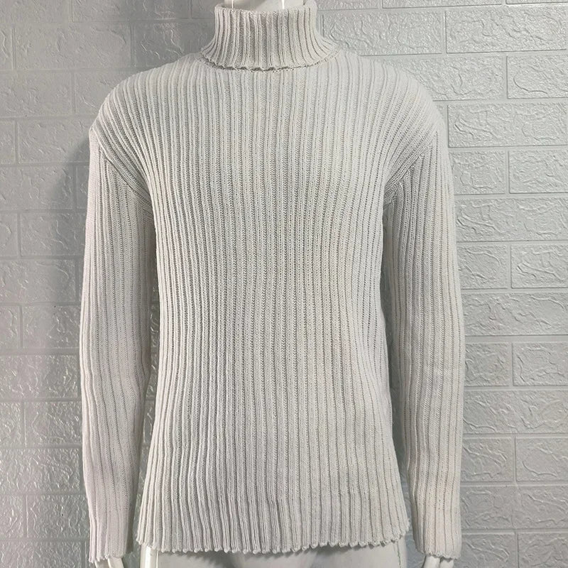 Herren Rollkragen Pullover Sweatshirt Pulli Zipper Sweater Shirt Langarmshirt