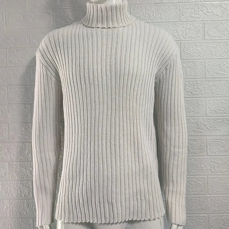 Herren Rollkragen Pullover Sweatshirt Pulli Zipper Sweater Shirt Langarmshirt