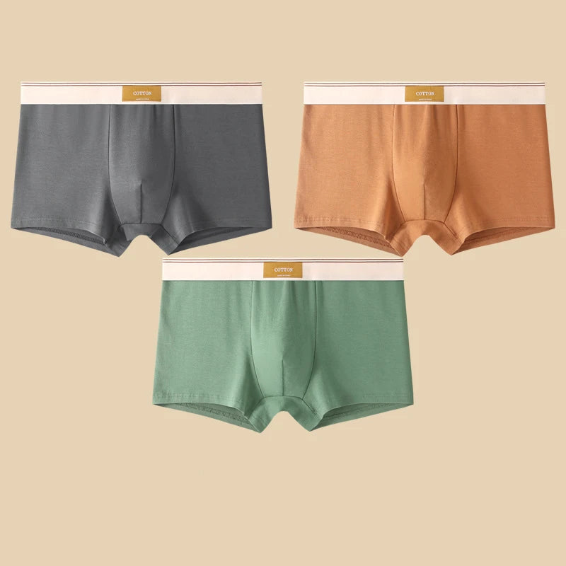 3er Pack Herren Boxershorts Unterhosen Basic Unterwäsche Boxer Shorts
