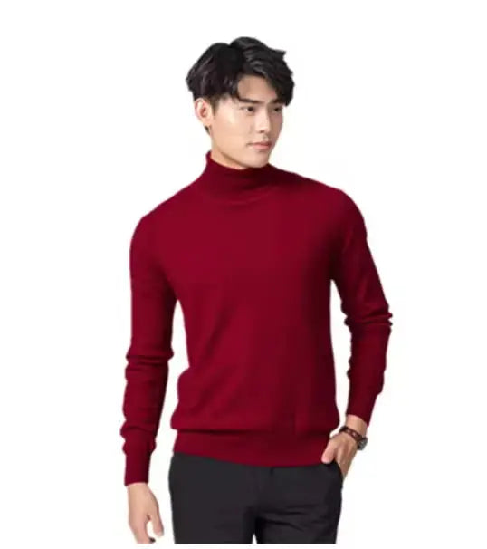 Herren Rollkragen Pullover Sweatshirt Leichter Pulli Sweater Shirt Langarmshirt