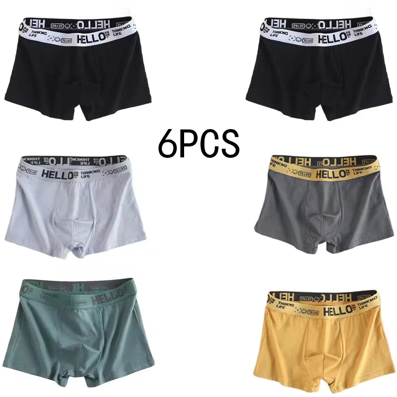 6 Pezzi Boxer Uomo Mutande Elasticizzato Slip Intimo vari colori Pantaloncino