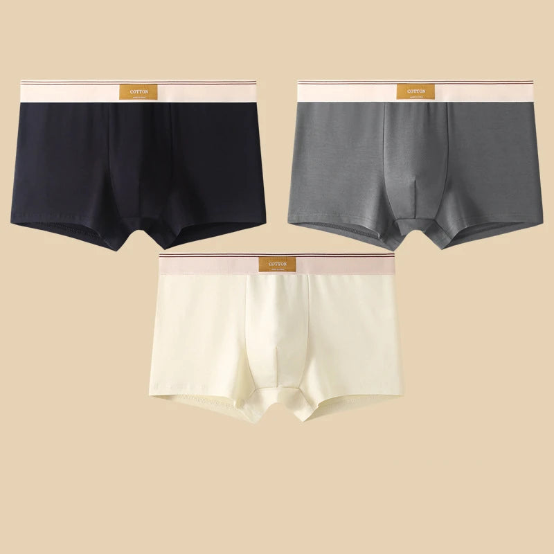 3 Pezzi Boxer Uomo Mutande Elasticizzato Slip Intimo vari colori Pantaloncino