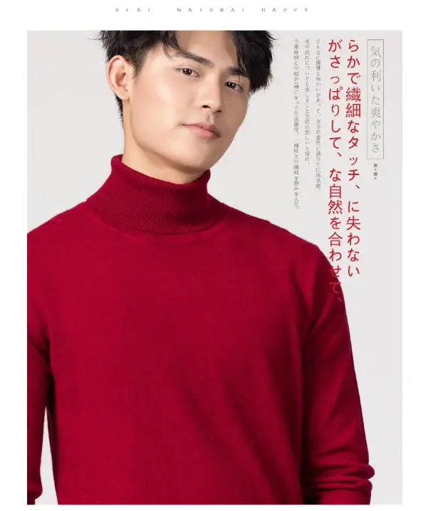 Herren Rollkragen Pullover Sweatshirt Leichter Pulli Sweater Shirt Langarmshirt