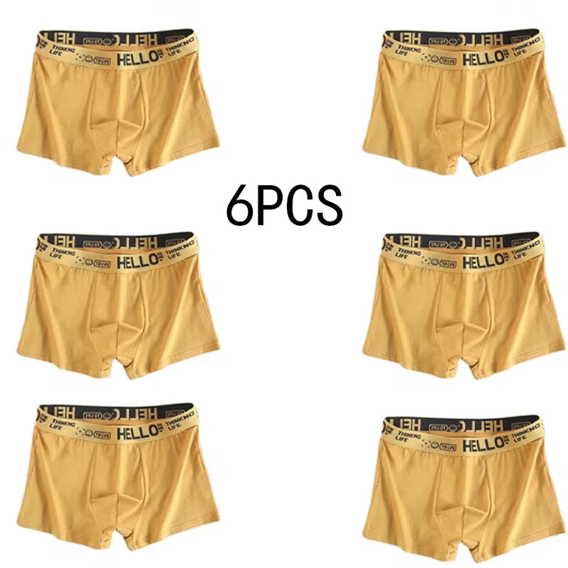 6 Pezzi Boxer Uomo Mutande Elasticizzato Slip Intimo vari colori Pantaloncino