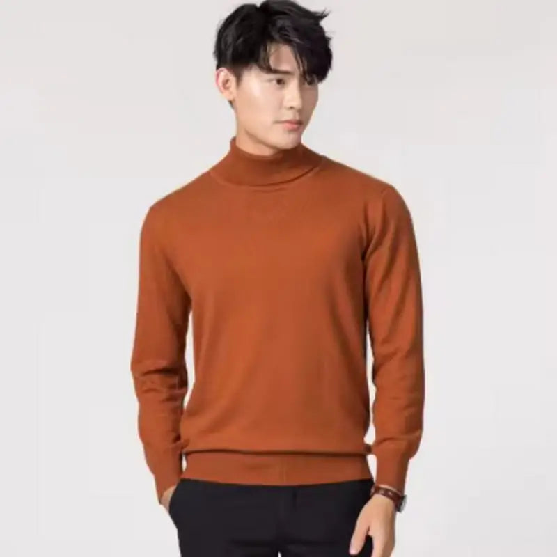 Herren Rollkragen Pullover Sweatshirt Leichter Pulli Sweater Shirt Langarmshirt
