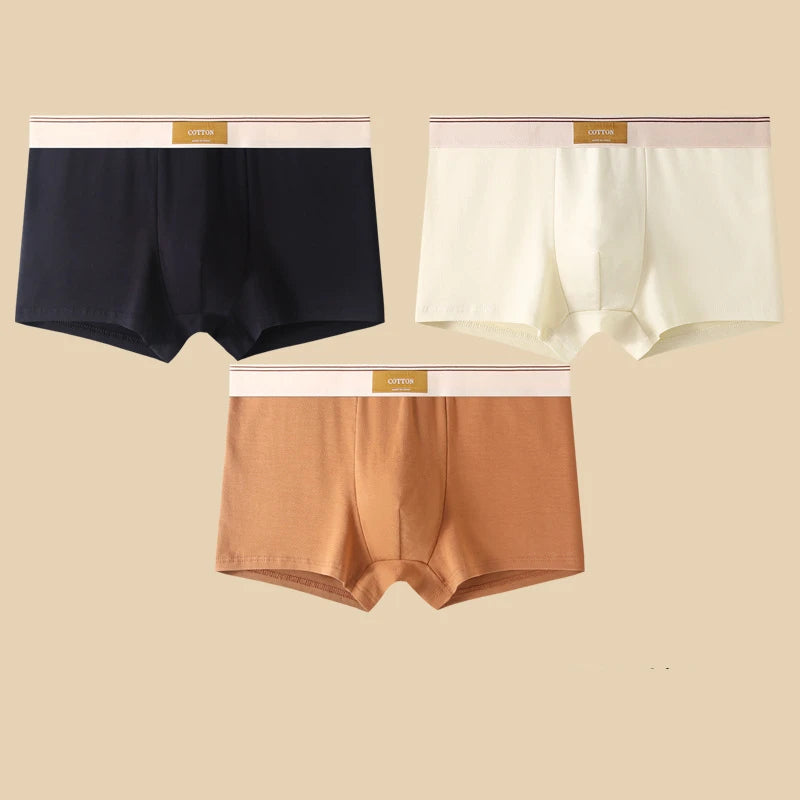 3 Pezzi Boxer Uomo Mutande Elasticizzato Slip Intimo vari colori Pantaloncino
