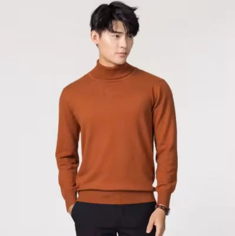 Herren Rollkragen Pullover Sweatshirt Leichter Pulli Sweater Shirt Langarmshirt