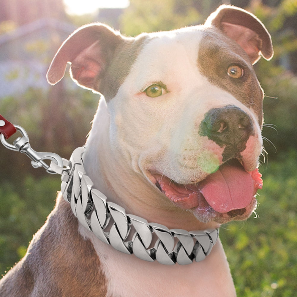 Hundehalsband Edelstahl Silber Gold Hundehalsband S-XXL Hunde Pitbull Bulldog