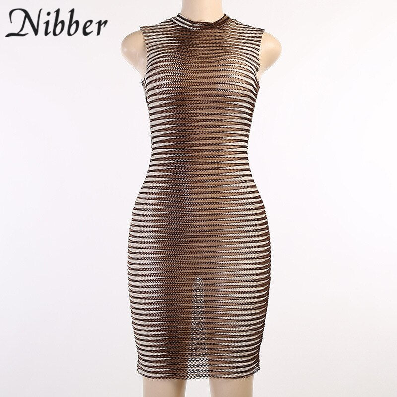 Frauen Kleid durchsichtiges gestrickte elegantes ärmellose figurbetontes Sexy Minikleid