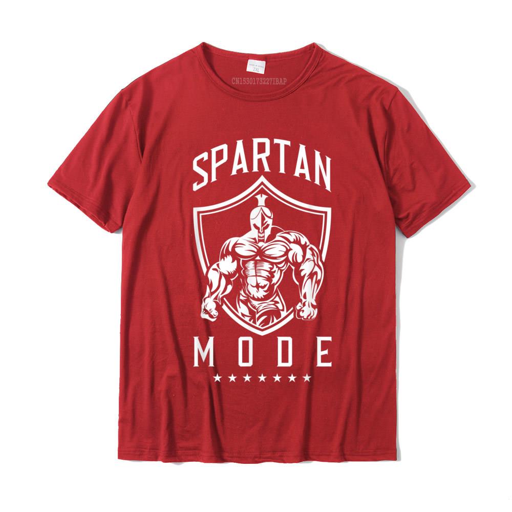 GYM Shirt Sport T-Shirt Men Herren Fitness Sportswear Unisex Streetwear Spartan
