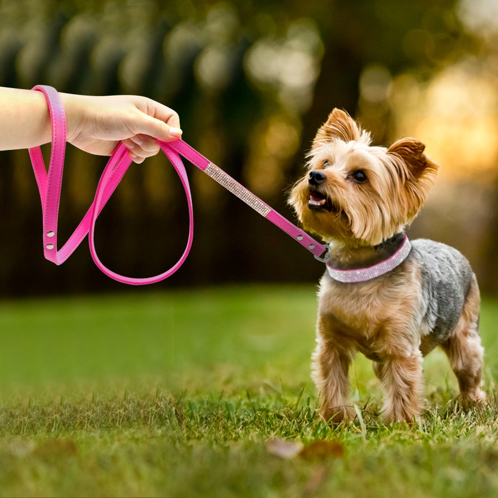 Hundehalsband Strass Silber Mops Halsband S M L Hunde Chihuahua Pink