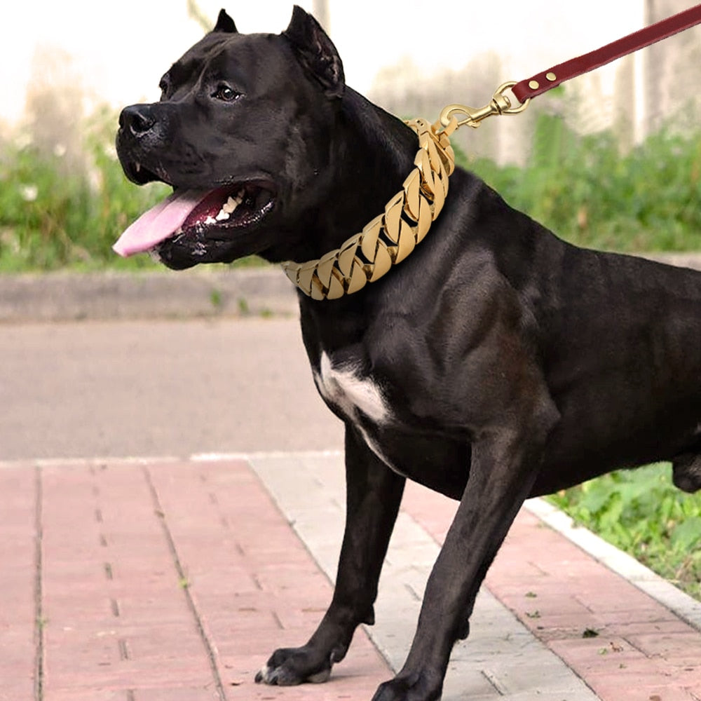 Hundehalsband Edelstahl Silber Gold Hundehalsband S-XXL Hunde Pitbull Bulldog