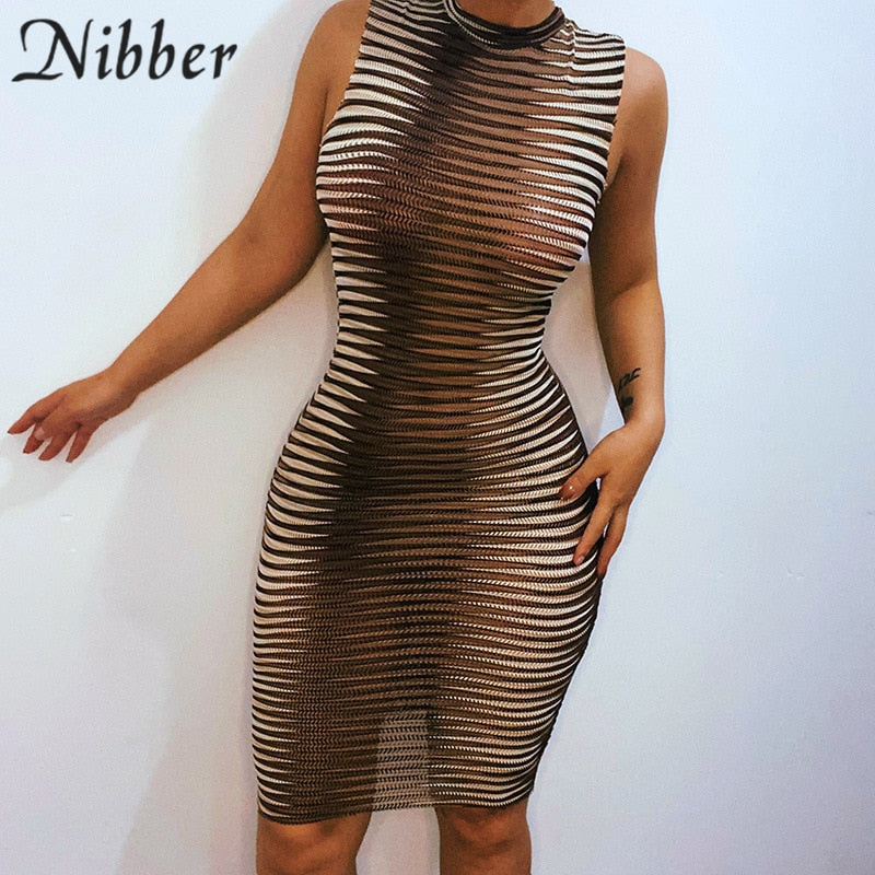 Frauen Kleid durchsichtiges gestrickte elegantes ärmellose figurbetontes Sexy Minikleid
