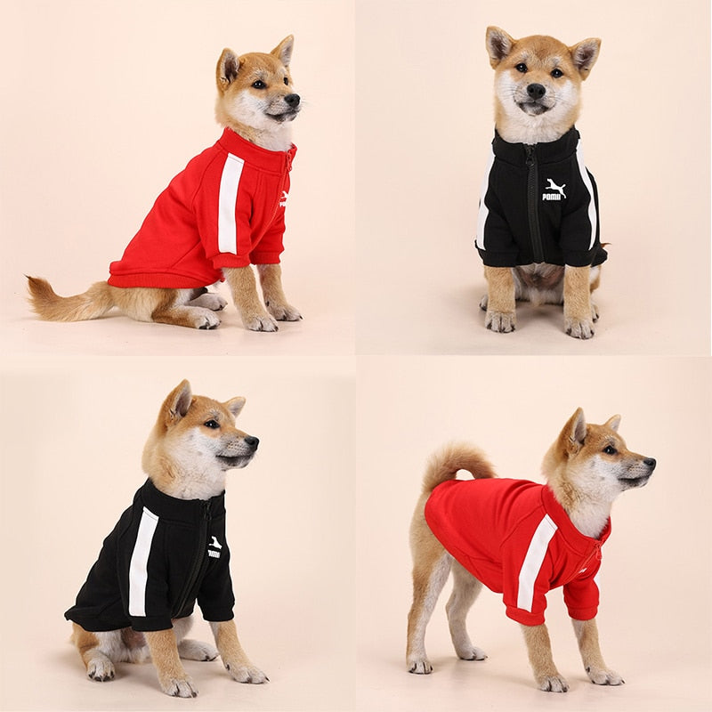 Hunde Weste Jacke Hundekleidung Hoodies Fleece Warmes Sweatshirt Haustier