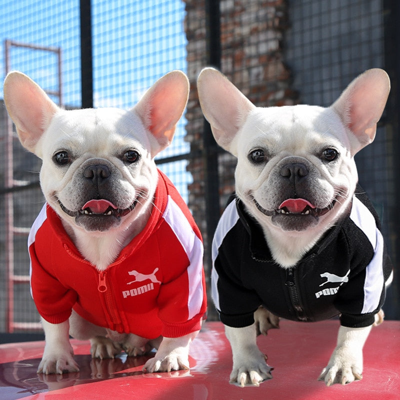 Hunde Weste Jacke Hundekleidung Hoodies Fleece Warmes Sweatshirt Haustier