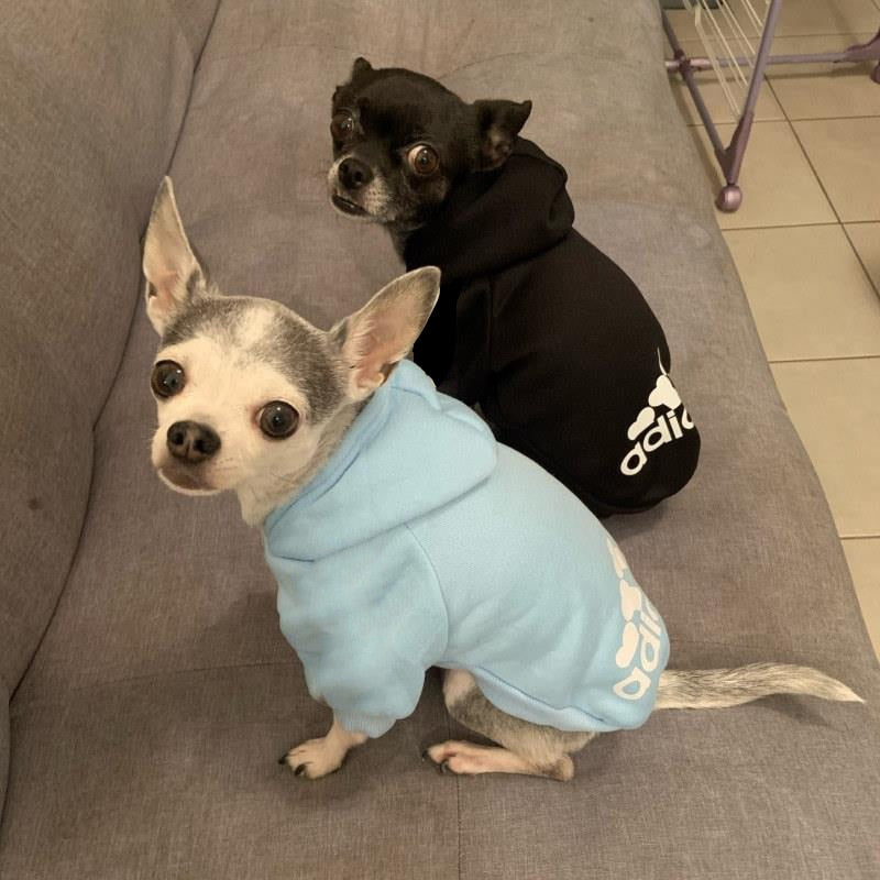 Hunde Weste Jacke Hundekleidung Hoodies Fleece Warmes Sweatshirt Haustier
