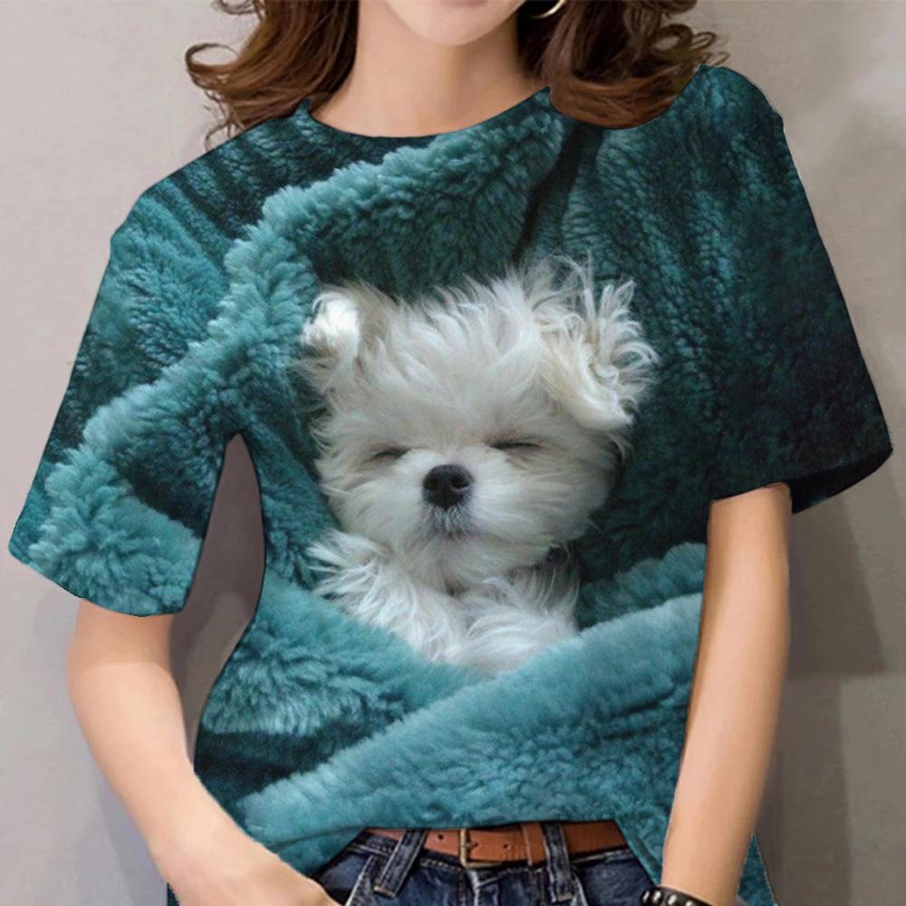 Damen Sommer Top 3D Katzen T-Shirt Rundhals Streetwear lockeres Damentop